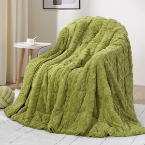 Drewin Weighted Blanket Queen Size 15 lbs, Dual Sided Soft Fuzzy Jacquard Sherpa Bed Blankets with Ceramic Beads, Ultra Fuzzy and Thick Winter Weighted Blanket, 60 x 80 inches, Grass Green