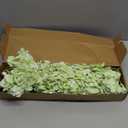 Waipfaru 21" Real Touch Green Hydrangea Artificial Flowers with Long Stem & Leaves, Full Latex Faux Hydrangea Flowers for Home Decor Party Floral Arrangements Wedding Bouquets Centerpieces, 5Pcs