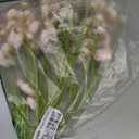 Floroom Ranunculus Artificial Flowers 18 Pcs Blush Faux Silk Mini Ranunculus Bulk Fake Wedding Filler Flowers for DIY Pink Bouquets, Centerpieces, Bridal Shower Decorations & Arrangements