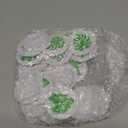 Novabright 20 Pack Caps Compatible with Gardyn yPod Withe Caps Go on Top Solution for a Cleaner & More Beautiful Garden(Vegetables)