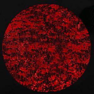 Red Disposable Placemats Set of 50 Red Charger Plates Doilies Metallic Thin Mesh Round 13 Inch Glitter Foil Pressed Dining Table Decoration Centerpieces for Party Wedding Birthday