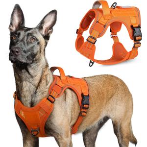rabbitgoo Tactical Dog Harness for Large Dogs, No Pull Military Service Vest with Handle & Molle, Easy Control for Training Walking, Adjustable Reflective Straps, Orange, L