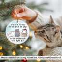 3 x Cat Christmas Ornament 2025  Funny Gifts for Cat Lovers & Friends, Double-Sided Ceramic Ornament for Tree or Car Decoration, Cute Animal Ornament for Women and Owners