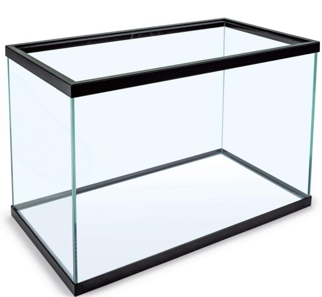 Aquarium Tank 1' x8"x 6"