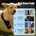 Dog Knee Brace for Torn ACL/CCL & Hind Leg Support - Adjustable Brace for Arthritis Relief, Joint Stability & Injury Recovery - Fits Small & Medium Dogs