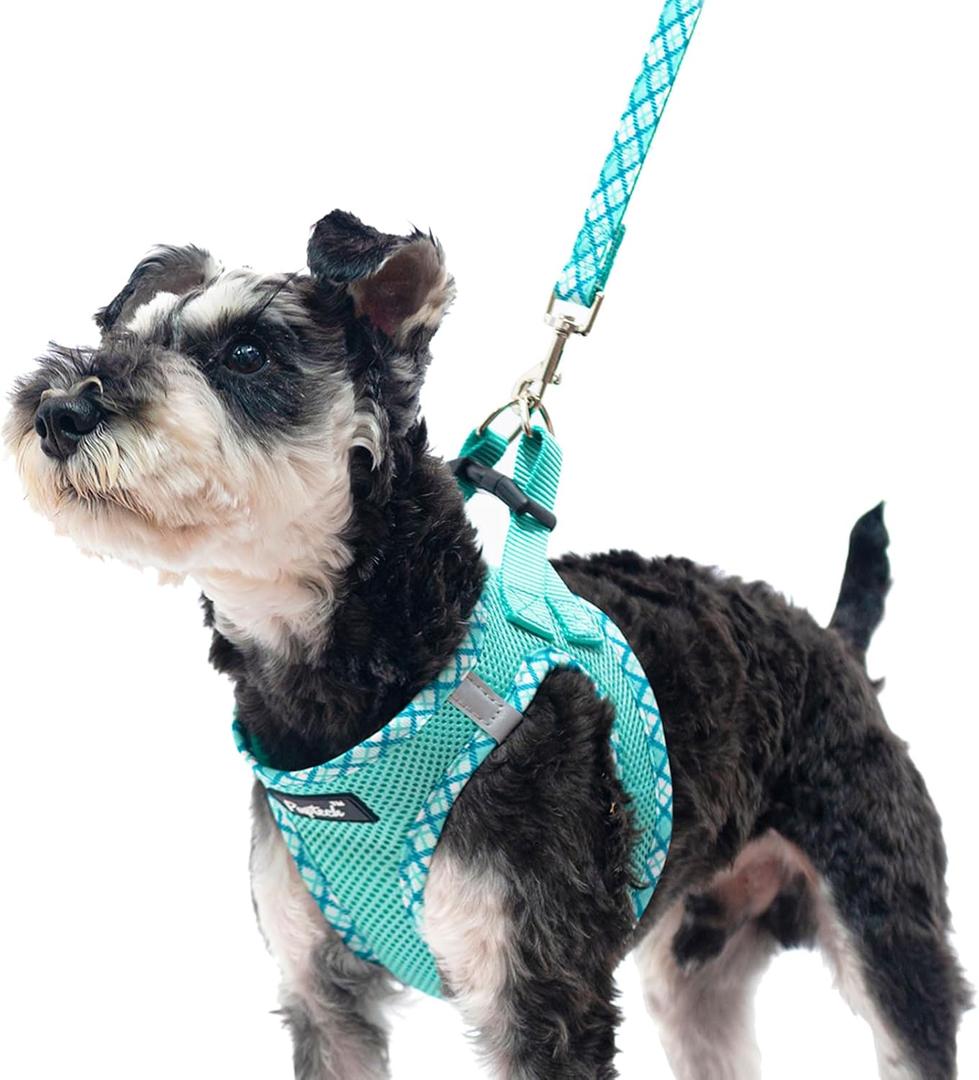 PUPTECK Dog Harness and Leash Set for Small Medium Dogs No Pull Step-in Soft Mesh Puppy Cat Vest Harnesses Reflective at Night, Green M (M(CHEST 16"-18", 11-18 lbs))