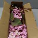 Ttranewsoo Hydrangea Artificial Flowers ,Fall Hydrangeas Artificial Flowers, Fake Fall Dried Hydrangea Decoration,Faux Silk Flower With Stems Winter Decor Indoor and outdoor(Pink 24"8pcs) Without Vase