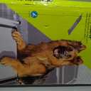 PetSafe Happy Ride Extra Long Telescoping Dog Ramp, Portable Pet Ramp for Cars, Trucks & SUVs, XL