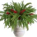 12pcs Christmas Norfolk Pine Branch with Berry Set, 18 Inches Artificial Norfolk Branch 6pack, Faux Berry Stem 6pack,Fake stem Greenery Pine Picks for Indoor Home Vase DIY Outdoor Wreath Decoration