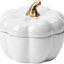 FYUEROPA Pumpkin Bowl Set with Lid and Handle, Set of 4 Ceramic Ramekins for Baking, Casserole Dish Individual Severing Pot, Stoneware, Oven Safe, 14 Oz (White) 1 UNBROKEN.