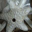 3Pack Cast Iron Starfish Coat Hooks 4.2in Decorative Wall Hooks Nautical Decor Hooks for Pool Towel Holder Bathroom Bedroom and Kitchen