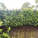 Expandable Willow Lattice Fence Panel Plant Support Garden Trellis Willow Trellis Fence for Climbing Plants Vine Ivy Rose Cucumbers Clematis Outdoors Garden Yard,36X92 Inch(2PC)