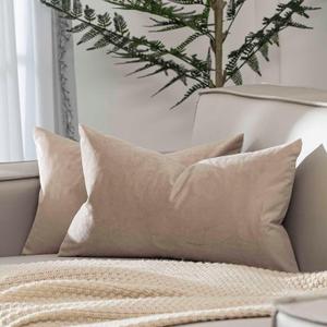 JUSPURBET Cloud Lumbar Velvet Throw Pillow Covers 16x24 inch Set of 2 for Living Room Couch Sofa Bedroom Decorative Rectangle Solid Soft Cushion Cases with Invisible Zipper