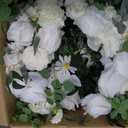 NUPTIO Large Flower Centerpieces for Tables: 17.7 inch Diameter White Artificial Flower Ball Arrangement for Wedding Party Centerpiece - 2 Pcs Fake Floral Rose for Bridal Shower Decorations