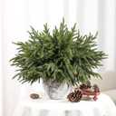 Alupssuc 18 Inch Norfolk Pine Stems, 12 Pcs Real Touch Norfolk Pine Branch, Christmas Greenery Stems for Vase DIY/Garland Making/Table Decoration, Christmas Decoration for Indoor, Outdoor & Home