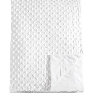 david's kids Micro Fleece Minky Baby Blanket for Boys Girls Neutral with Double Layer and Soothing Raised Dots, Breathable and Soft Lightweight Receiving Blanket for Newborns 30x40 Inches, White