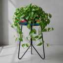 LIFFY Patio Side Tables,12" Outdoor Metal Side Table with Glass Tabletop,Indoor Small Round Decorative Plant Stand & Accent Table for Garden, Yard, Balcony, Backyard, Porch