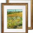 Antique Gold 16x20 Picture Frame, Ornate Embossing Frame with Paper Mat and Plexiglass, Fit for 16x20 without Mat or 11x14 with Mat, Wall Mounting Display for Art Prints, 2 Pack