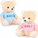 Hollowfly 2 Pack Boy or Girl Bears 14 Inch Blue and Pink Plush T-Shirt Bears Toy for Gender Reveal Baby Shower Decoration
