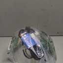 Woods 0165 Brooder Lamp with Bulb Guard; 10.5 Inch Reflector and 6 Foot Cord (250 Watt; 18/2 SJTW); 0