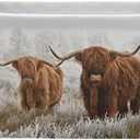 Scottish Highland Cow Storage Basket Fabric Storage Bin Baskets Bull Farmhouse Funny Animal Foldable Storage Boxes Bag for Baby Cloth Dog Toy Book Storage Cubes Shelf Closet Basket 16×12×8 Inches