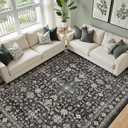 Grey Area Rug 6x9 for Living Room Bedroom