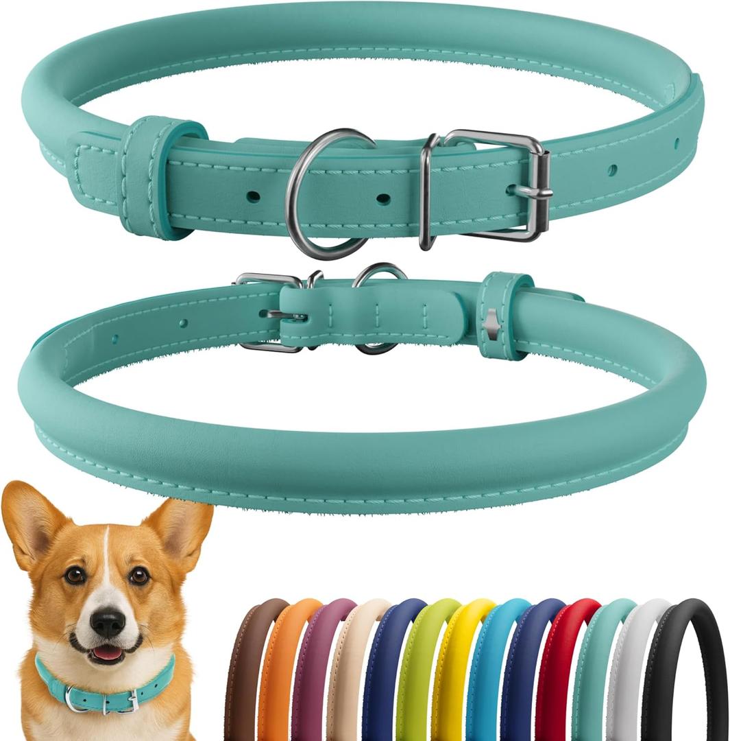 CollarDirect Rolled Leather Dog Collar, Soft Padded Round Puppy Collar, Handmade Genuine Leather Collar Dog Small Large Cat Collars 13 Colors (12-15 Inch, Mint Greent Smooth)