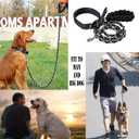 Dog Leash Metal Leashes Chain Rope with Pet Collar Training Walking Leads Heavy Duty Anti Bite 360 Hook for Medium and Large Dogs (Large)