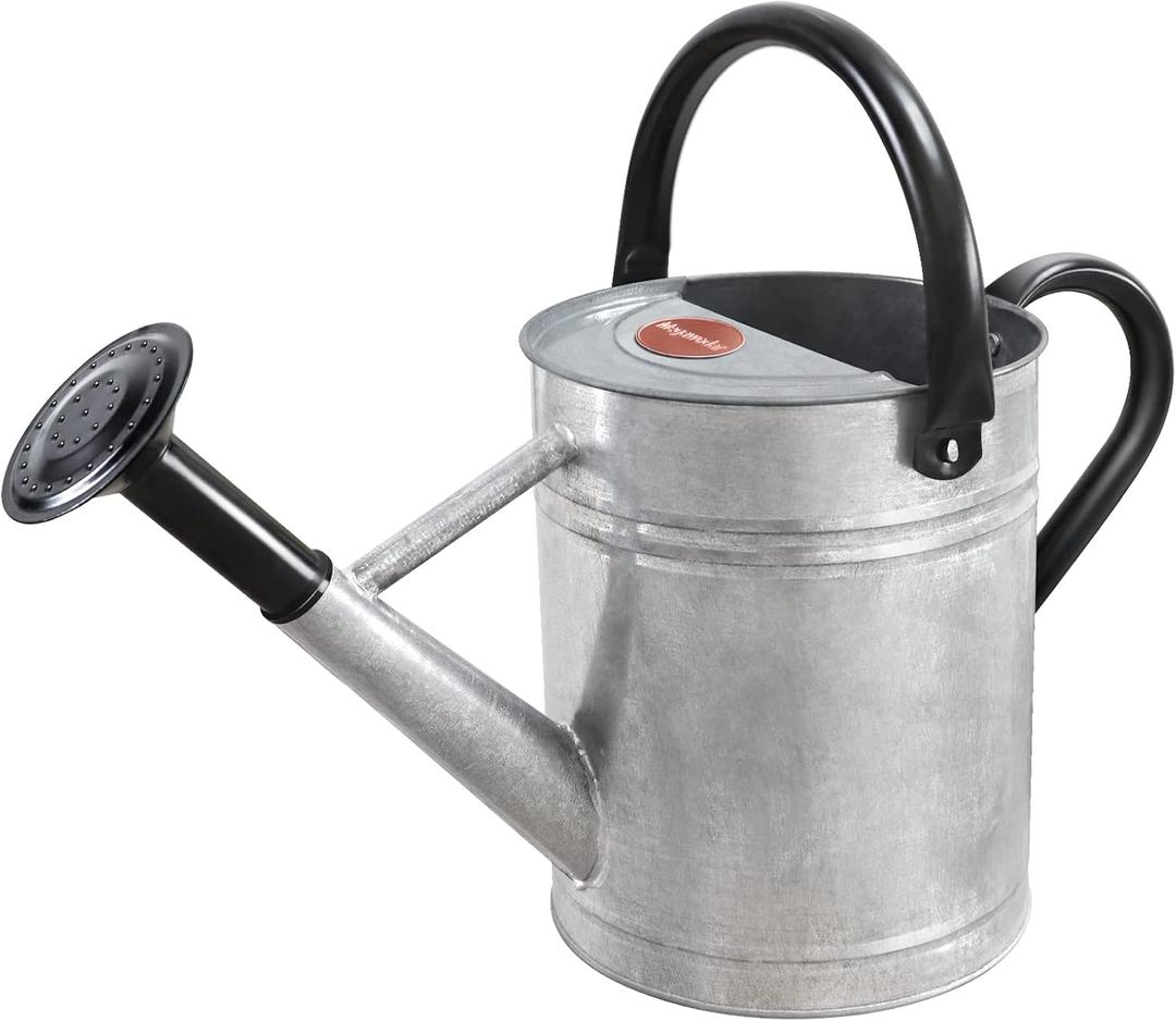 1 Gallon Metal Watering Can with Removable Spout, Nice Galvanized Steel Water Can for Indoor and Outdoor Plants (House Plants) (Silver)