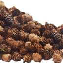 Deloky 150 Pcs Christmas Natural Mini Pine Cones- 2CM Thanksgiving Small Pinecones Ornaments Vase Fillers for DIY Crafts, Home Decorations, Fall and Christmas, Wedding Decor (Brown)