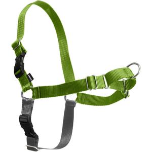 PetSafe Easy Walk No-Pull Dog Harness - Ultimate Harness to Help Stop Pulling - Pull-Free Walks - Take Control & Teach Better Leash Manners - Patented Martingale Loop Design - Green, Medium/Large (Apple Green/Gray)