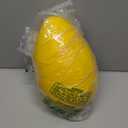 Jolly Pets Jolly Egg Dog Toy, 12 Inches/Large, Yellow