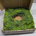 JOYIN 6 FT Cedar Christmas Garland, Realistic Pine Designed Thick Lush & Bendable, Green Christmas Garland for Mantle, Table, Porch, Indoor, Xmas Party Decorations