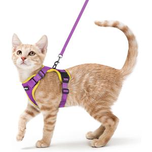 rabbitgoo Cat Harness and Leash Set, Escape Proof Vest, Purple & Yellow | Soft Breathable Mesh, Easy Adjustable Fit, Snap Buckles, Sturdy Clip, Reflective Strips, for Average Cats Walks, S