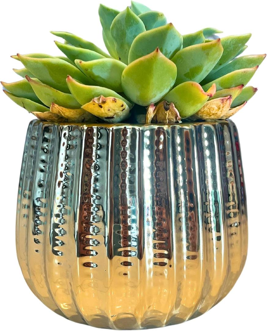 Admired By Nature 4" Ceramic Flower Planter, Ceramic Pot Planter, Indoor Ceramic Bowl, Houseplant Ceramic Pot, Decorative Planter for Indoor Plant Succulent Plant Home Dcor, Lightweight, YLW Gold (4 inch)