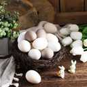 Gejoy 24 Pcs Neutral Easter Eggs Plastic Fake Chicken Eggs 2.36 Inch Vintage Boho Easter Decor Pastel Bowl Vase Fillers Farmhouse Spring Decorations for Home Table DIY Craft (Cream)