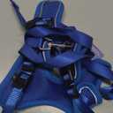 Cat Harness and Leash for Walking Escape Proof Soft Adjustable Cat Leash, Small