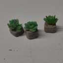 Set of 3 Succulents Plants Artificial in Pots,Mini Faux Plants for Bathroom Home Office Living Room Table Decor Indoor