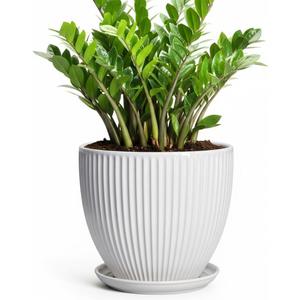 10 Inch Planter, Ceramic Plant Pots with Saucer, White