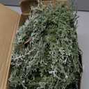 Civaner 8 Pcs Small Christmas Wreath Real Touch 10 Inch Christmas Kitchen Cabinet Wreaths with Bell Mini Wreaths Rustic Farmhouse Decoration for Xmas Front Door Window Home Table Pillar Decor