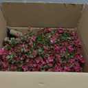 2 Pack 25" Artificial Red Eucalyptus Topiary Ball Tree for Outdoors Faux Evergreen Shrubs Plants with Ground Spike UV Resistant Fake Bushes Ball Trees for Outdoor Indoor Home Porch Patio Decoration