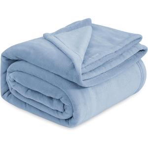 Bedsure Fleece Bed Blankets Queen Size Light Blue - Soft Lightweight Plush Fuzzy Cozy Luxury Blanket Microfiber, 90x90 inches (Queen (90" x 90"))