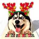 Husky Christmas Pop Up Card  3D Holiday Greeting Card Featuring Adorable Husky Dog with Festive Reindeer Antlers, Perfect for Dog Lovers, Unique Christmas Gift Card for Friends and Family