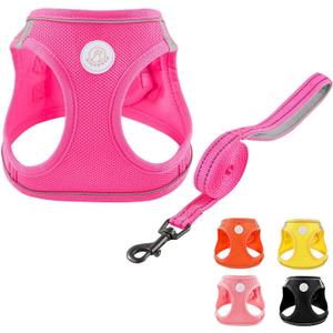 Soft Mesh Dog Harness and Leash Set, No Pull Puppy Harness and Leash Set, Reflective Step in Harness for Small Medium Dogs, Easy Walk Escape Proof Vest Harnesses (Rose Red, XS)