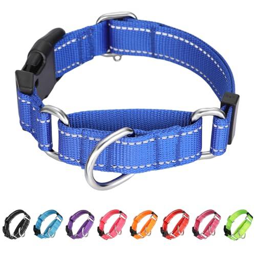 BXPAW Martingale Collar for Dogs,Reflective Martingale Dog Collars with Quick Release Buckle,Adjustable Nylon No Pull Dog Collar for Walking Training(Blue,  Large)