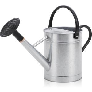 1 Pcs 1 Gallon Metal Watering Can for Indoor Outdoor Plants, Galvanized Garden Water Can with Long Spout and Dual Handles, Large Silver Watering Pot for Flowers, Houseplants, Yard
