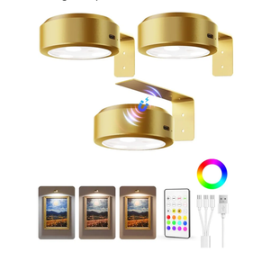 EZVALO Picture Lights for Wall, 2000mAh Rechargeable Battery Magnetic Poster Lights with 3 Color Temps & 12 RGB, Remote Dimmable Timer Painting Light, Wall Decor Light for Art Display, Frame (3 Pack)
