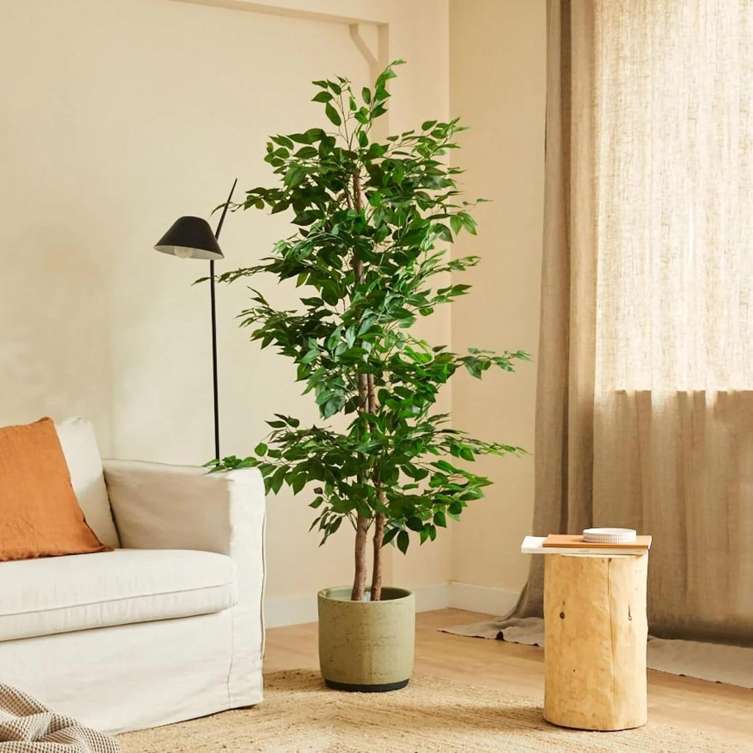 BLAINE | Ficus 5 FT | Decorative Artificial Plants | Large Artificial Plant | Artificial Plants for Indoor/Outdoor use | Realistic Decorative Artificial Plant for Home