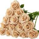 Carlita‘s Blooms 20Pcs Champagne Roses Artificial Flowers Artificial Silk Roses Bulk, Fake Roses Flower with Stems Realistic Flowers for Wedding Centerpiece Home Party Decor, Beige