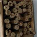 Bamboo Stakes for Plants 4.0 feet, 50 Pieces Bamboo Poles Eco-Friendly, Plant Stakes for Tomato, Bean, Flowers,Trees Potted and Climbing Plant,Natural Garden Stakes